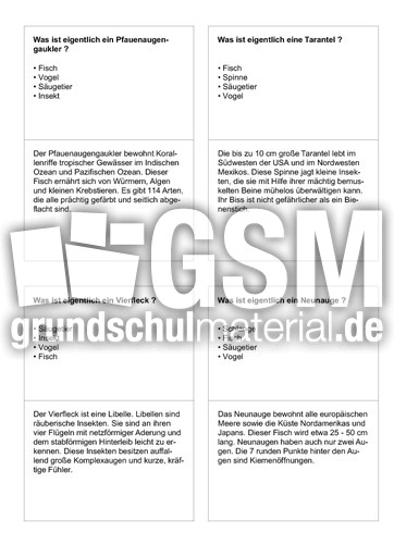 Tiernamen 66.pdf